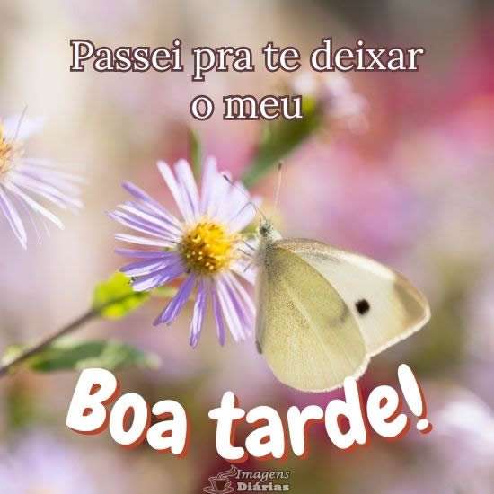 Boa tarde