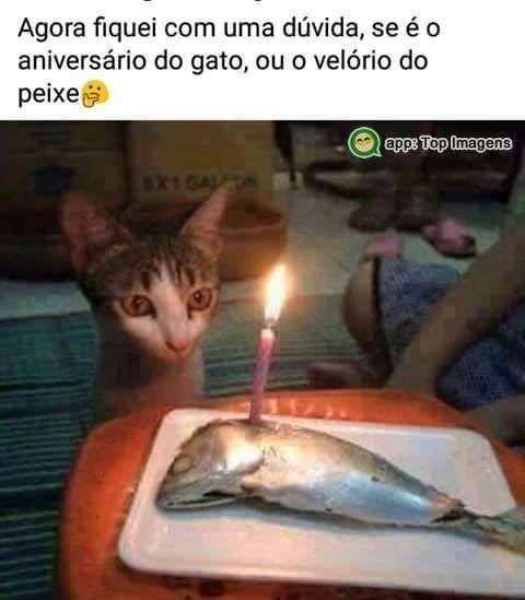 Fiquei na dúvida