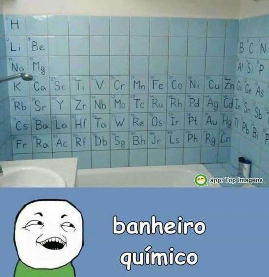 Banheiro químico
