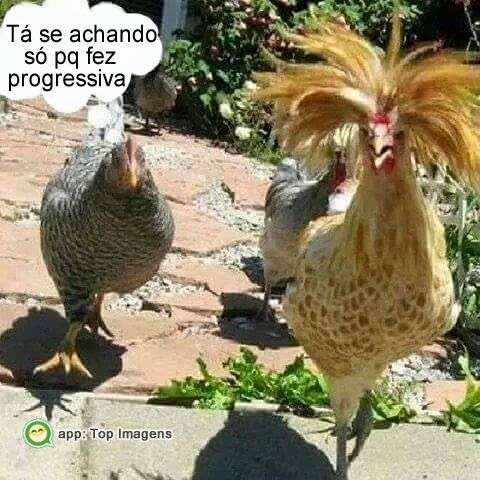 Amigo com progressiva