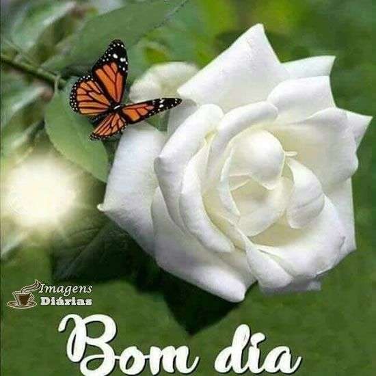 Bom dia