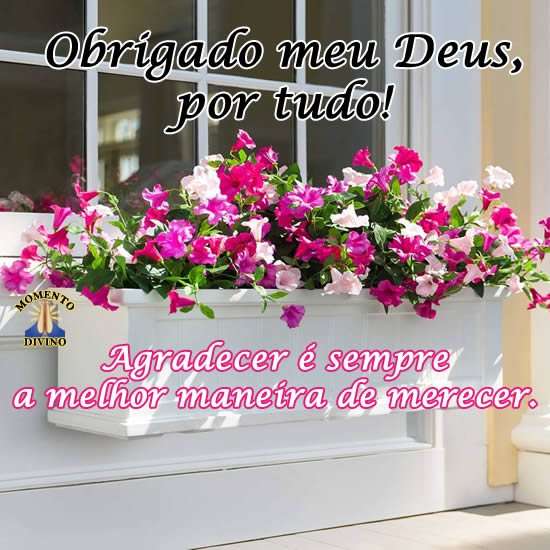 Agradecer sempre